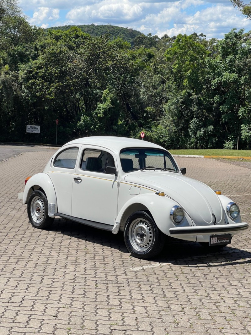 fusca 1.6 8v gasolina 2p manual 1996 nova petropolis