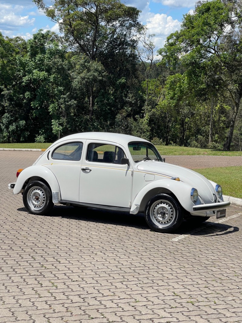 FUSCA 1.6 8V GASOLINA 2P MANUAL - 1996 - NOVA PETRóPOLIS