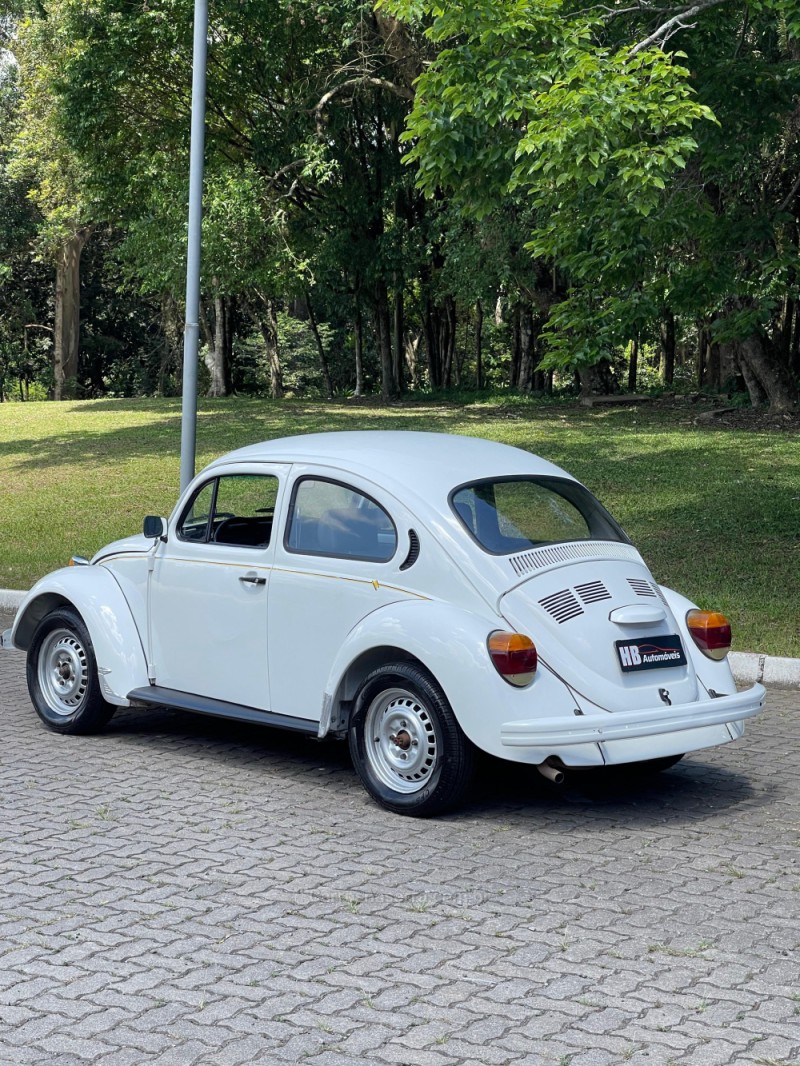 FUSCA 1.6 8V GASOLINA 2P MANUAL - 1996 - NOVA PETRóPOLIS