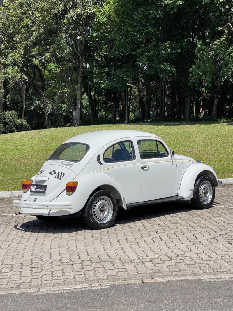 FUSCA 1.6 8V GASOLINA 2P MANUAL - 1996 - NOVA PETRóPOLIS