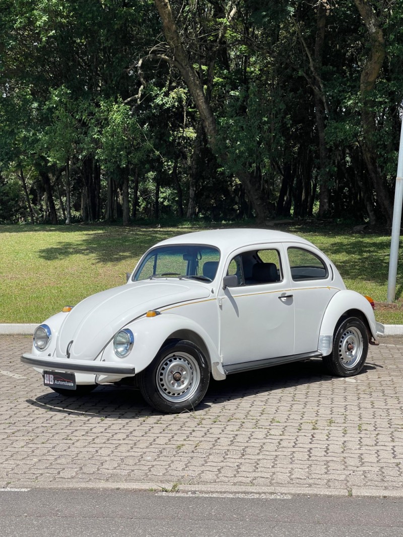 FUSCA 1.6 8V GASOLINA 2P MANUAL - 1996 - NOVA PETRóPOLIS