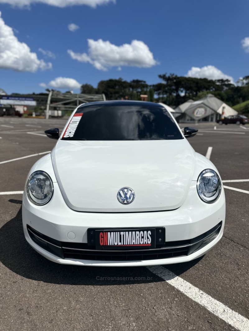 FUSCA  - 2014 - CAXIAS DO SUL