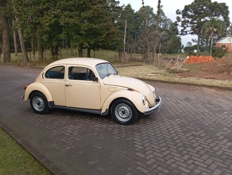 FUSCA 1.3 L 8V GASOLINA 2P MANUAL - 1978 - CAXIAS DO SUL