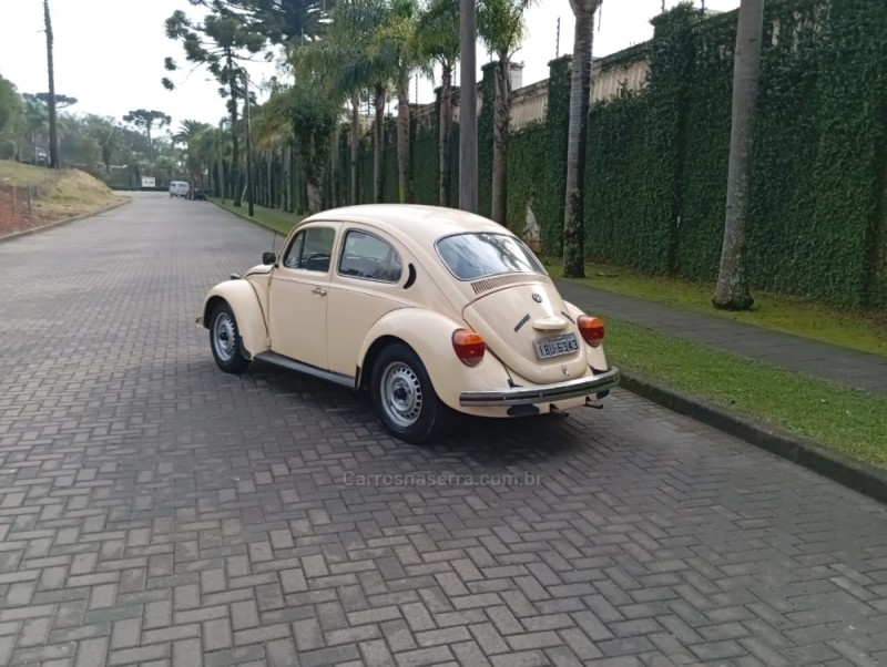 FUSCA 1.3 L 8V GASOLINA 2P MANUAL - 1978 - CAXIAS DO SUL