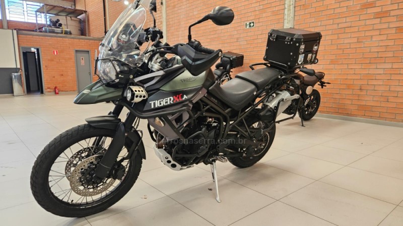 TIGER 800 XCA  - 2017 - CAXIAS DO SUL