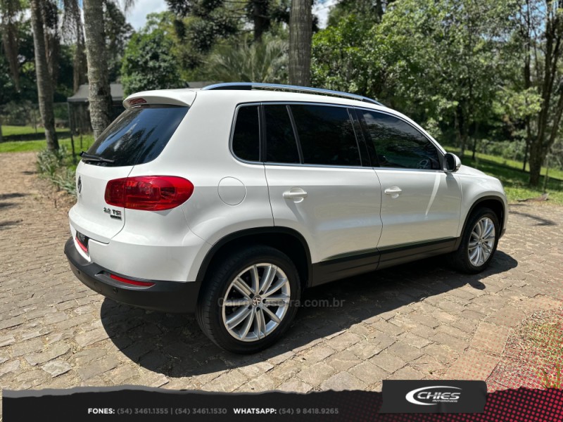 TIGUAN 2.0 TSI 16V TURBO GASOLINA 4P TIPTRONIC - 2013 - CARLOS BARBOSA