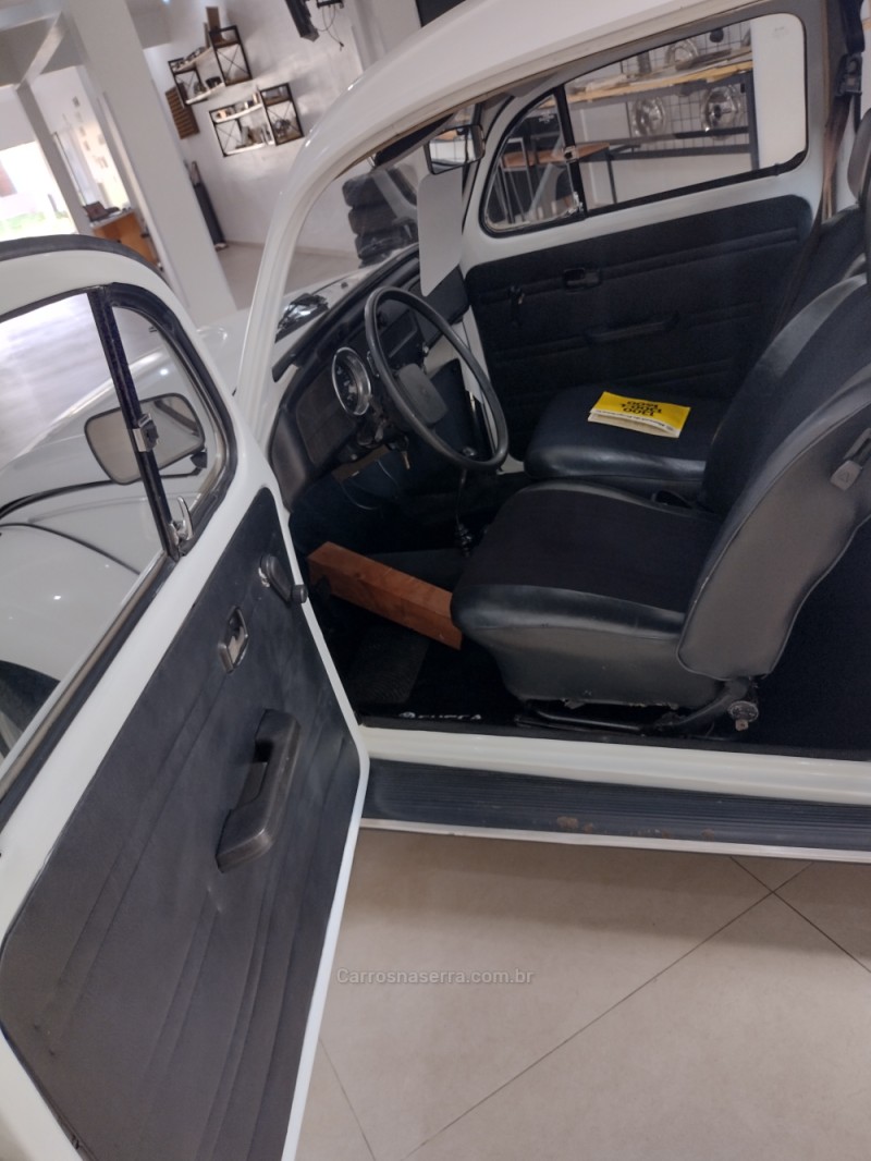 FUSCA 1.3 L 8V GASOLINA 2P MANUAL - 1981 - VACARIA