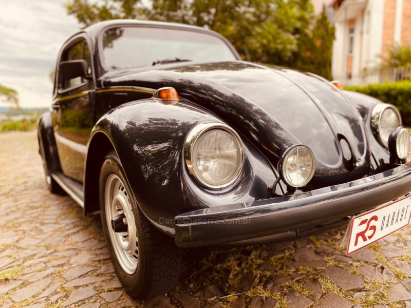 FUSCA 1.6 8V GASOLINA 2P MANUAL - 1996 - NOVO HAMBURGO