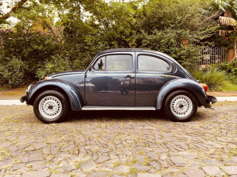 FUSCA 1.6 8V GASOLINA 2P MANUAL - 1996 - NOVO HAMBURGO