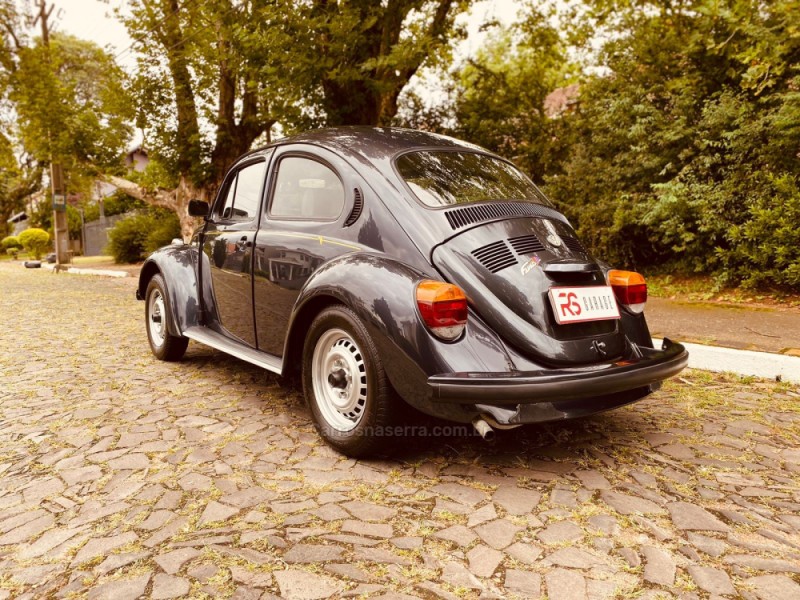 FUSCA 1.6 8V GASOLINA 2P MANUAL - 1996 - NOVO HAMBURGO