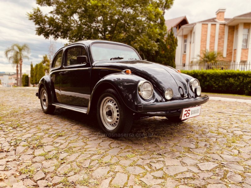 FUSCA 1.6 8V GASOLINA 2P MANUAL - 1996 - NOVO HAMBURGO