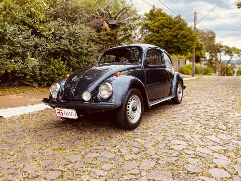 fusca 1.6 8v gasolina 2p manual 1996 novo hamburgo