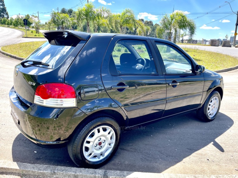 PALIO 1.4 MPI ELX 8V FLEX 4P MANUAL - 2010 - CAXIAS DO SUL