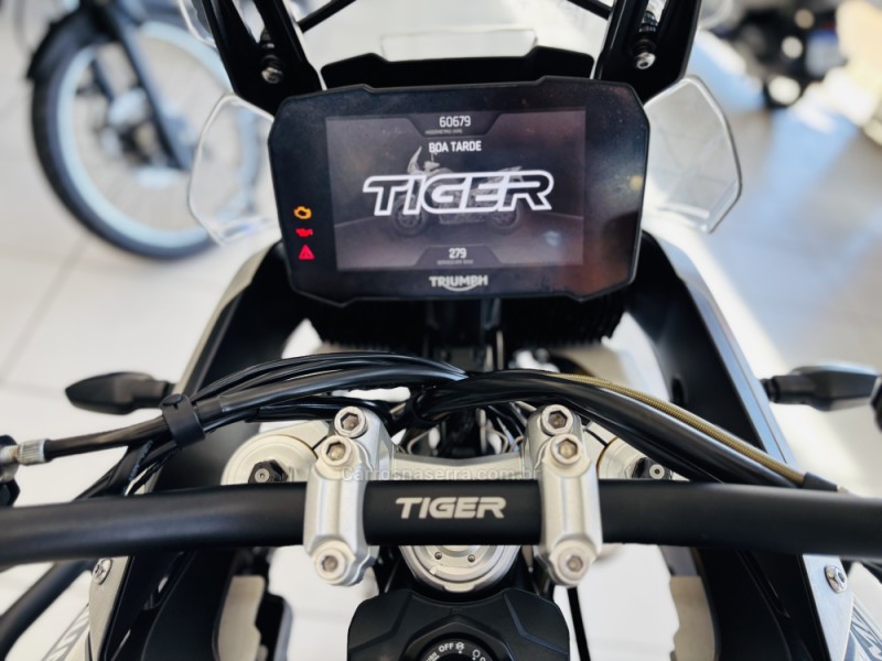 TIGER 900 RALLY PRO  - 2021 - NOVO HAMBURGO