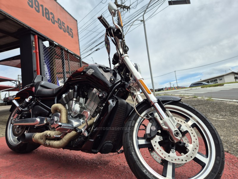 V-ROD MUSCLE  - 2015 - FARROUPILHA