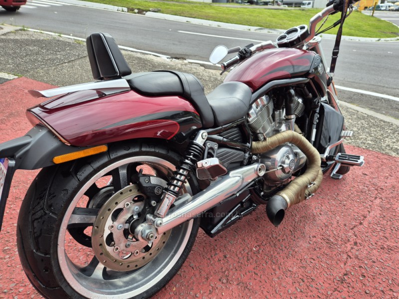 V-ROD MUSCLE  - 2015 - FARROUPILHA