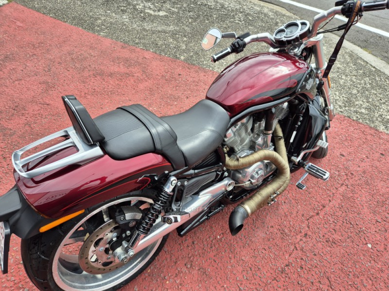 V-ROD MUSCLE  - 2015 - FARROUPILHA