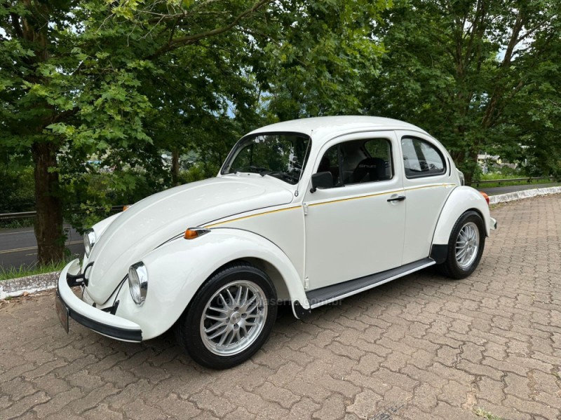 FUSCA 1.6 8V GASOLINA 2P MANUAL - 1994 - DOIS IRMãOS