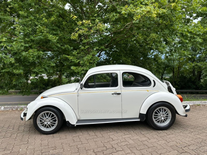 FUSCA 1.6 8V GASOLINA 2P MANUAL - 1994 - DOIS IRMãOS