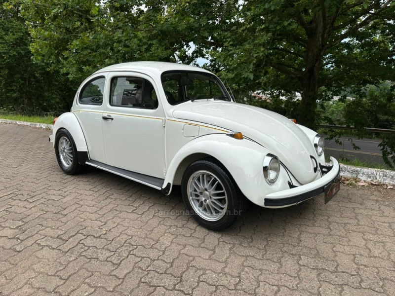 FUSCA 1.6 8V GASOLINA 2P MANUAL - 1994 - DOIS IRMãOS