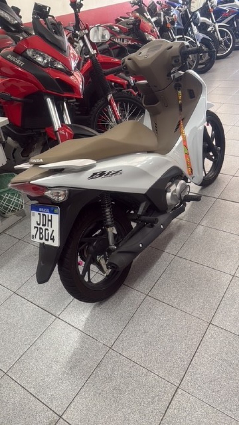 BIZ 125  - 2025 - GARIBALDI