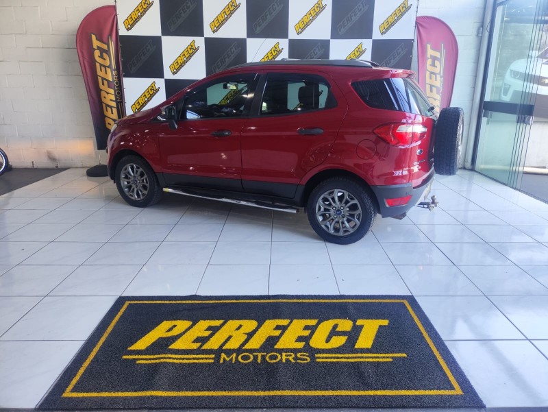 ECOSPORT 2.0 FREESTYLE 16V FLEX 4P MANUAL - 2013 - PORTãO