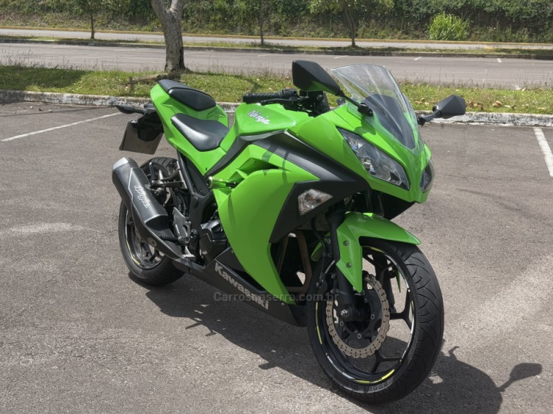 ninja 300  2015 bento goncalves