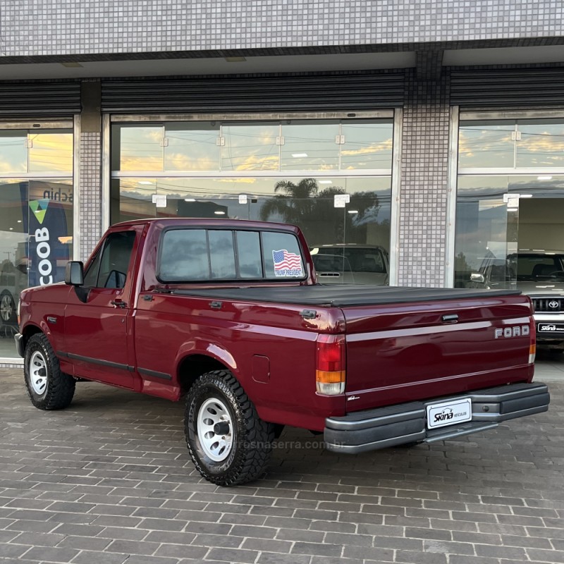 F-1000 3.9 SUPER SÉRIE 4X2 CS 8V TURBO DIESEL 2P MANUAL - 1993 - VACARIA