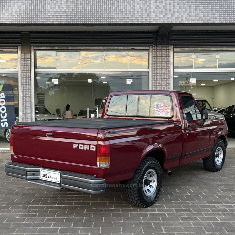 F-1000 3.9 SUPER SÉRIE 4X2 CS 8V TURBO DIESEL 2P MANUAL - 1993 - VACARIA