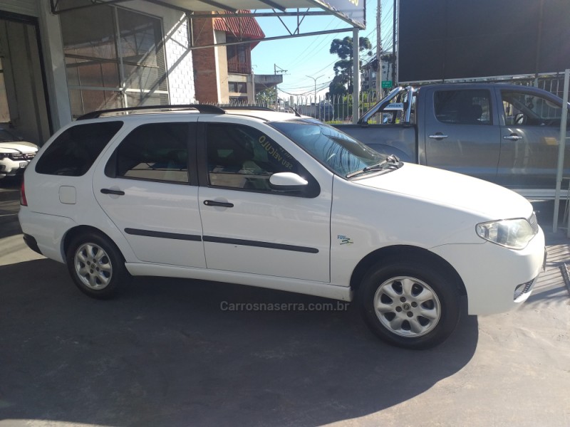 PALIO 1.4 MPI ELX 8V FLEX 4P MANUAL - 2008 - CAXIAS DO SUL