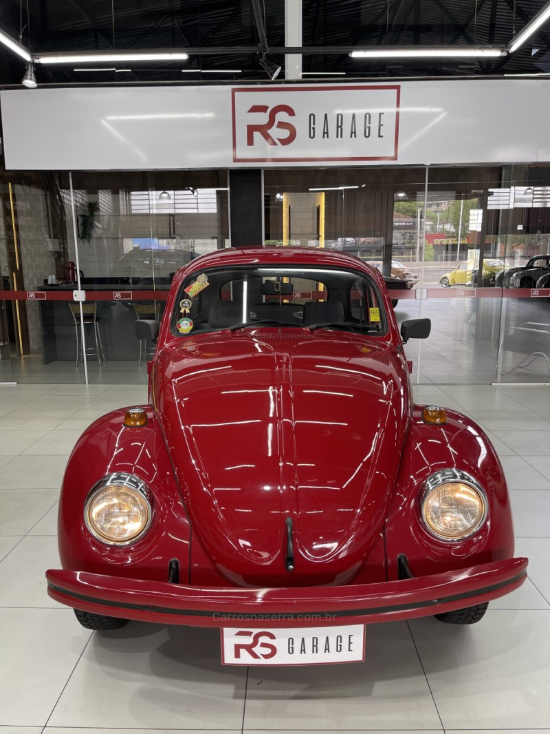 FUSCA 1.6 8V GASOLINA 2P MANUAL - 1995 - NOVO HAMBURGO