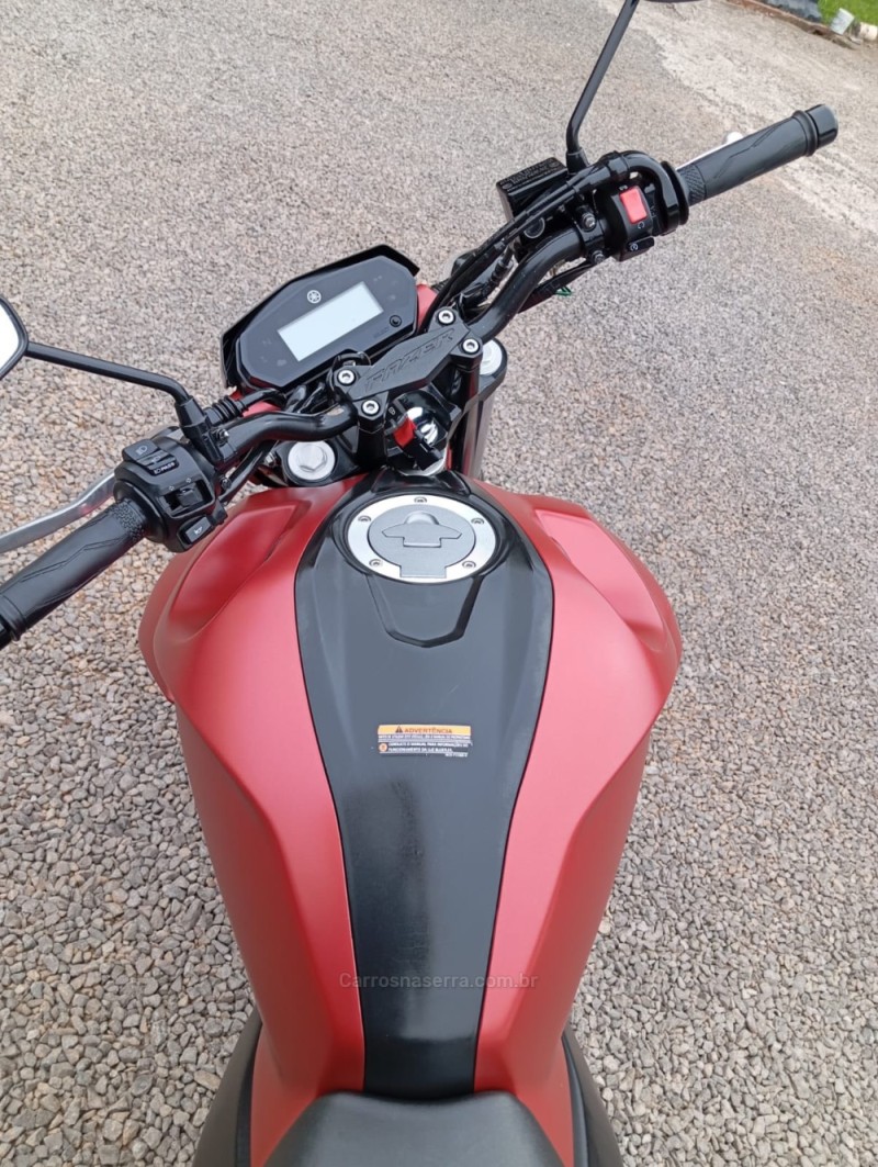 FAZER 250IE LIMITED ED - 2019 - PICADA CAFé
