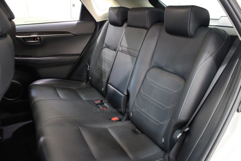 NX300 H 2.0 LUXURY 16V HÍBRIDO 4P AUTOMÁTICO - 2019 - CAXIAS DO SUL