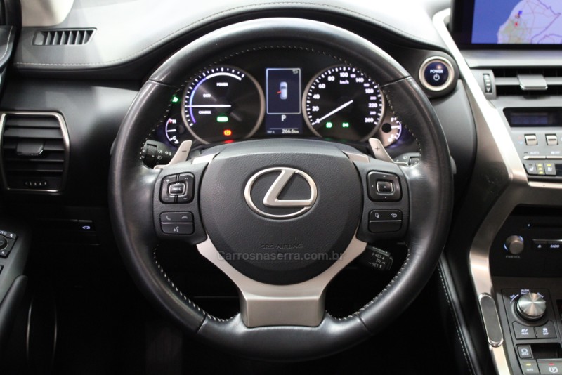 NX300 H 2.0 LUXURY 16V HÍBRIDO 4P AUTOMÁTICO - 2019 - CAXIAS DO SUL