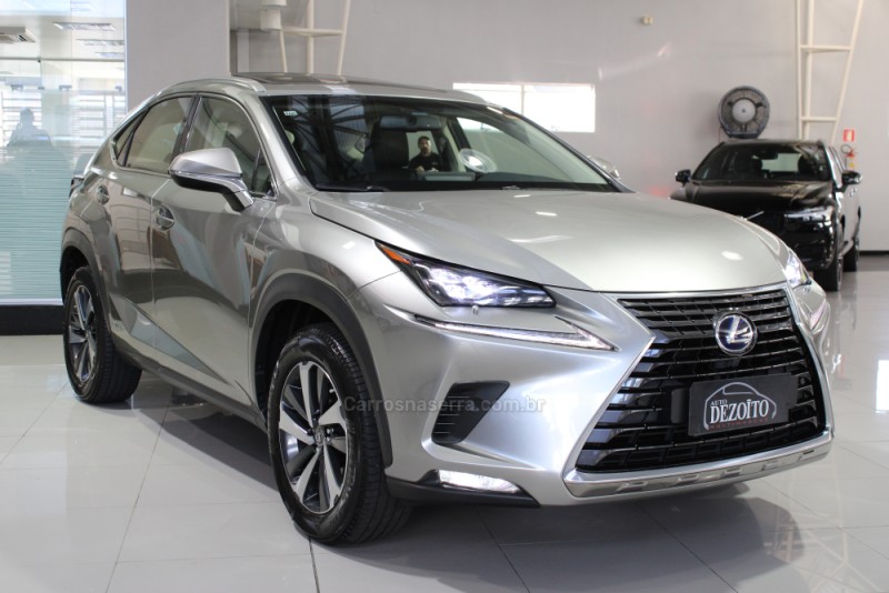 NX300 H 2.0 LUXURY 16V HÍBRIDO 4P AUTOMÁTICO - 2019 - CAXIAS DO SUL
