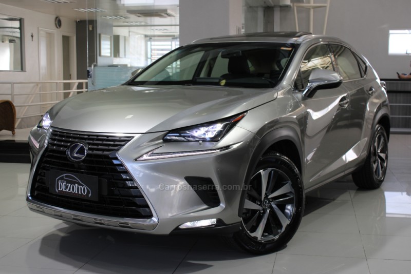nx300 h 2.0 luxury 16v hibrido 4p automatico 2019 caxias do sul