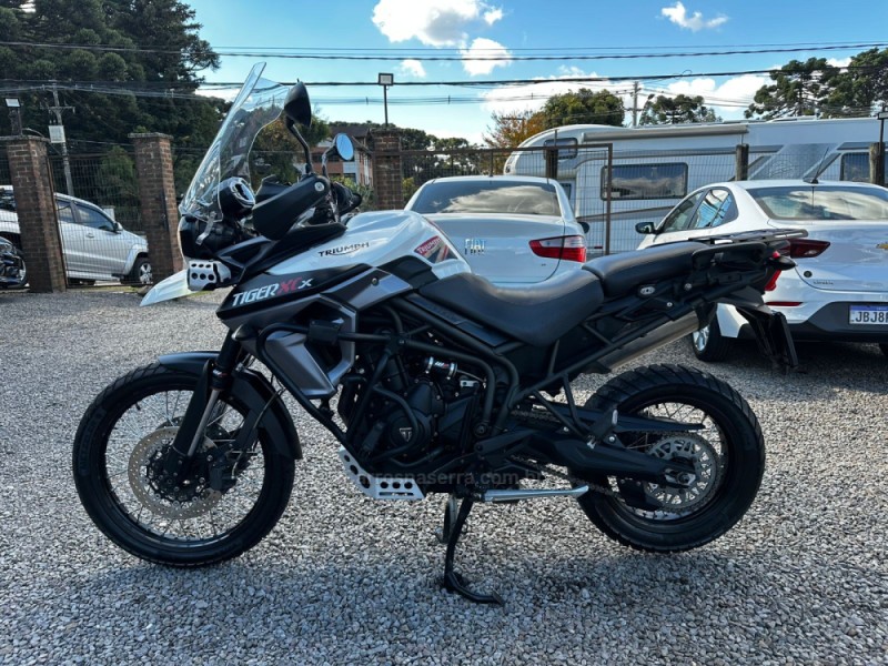 TIGER 800 XCX  - 2018 - CANELA