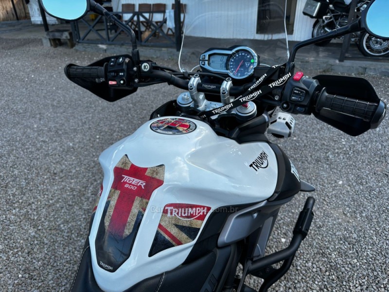 TIGER 800 XCX  - 2018 - CANELA