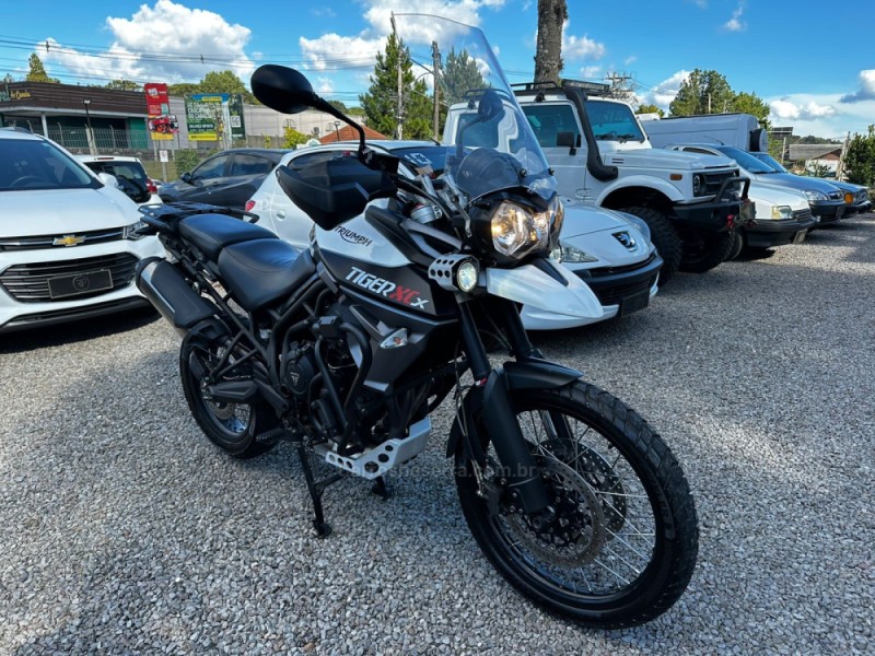 TIGER 800 XCX  - 2018 - CANELA