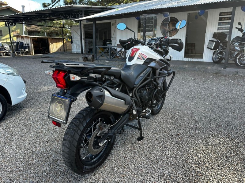 TIGER 800 XCX  - 2018 - CANELA