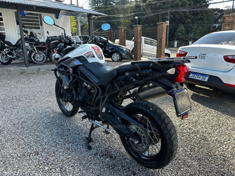 TIGER 800 XCX  - 2018 - CANELA