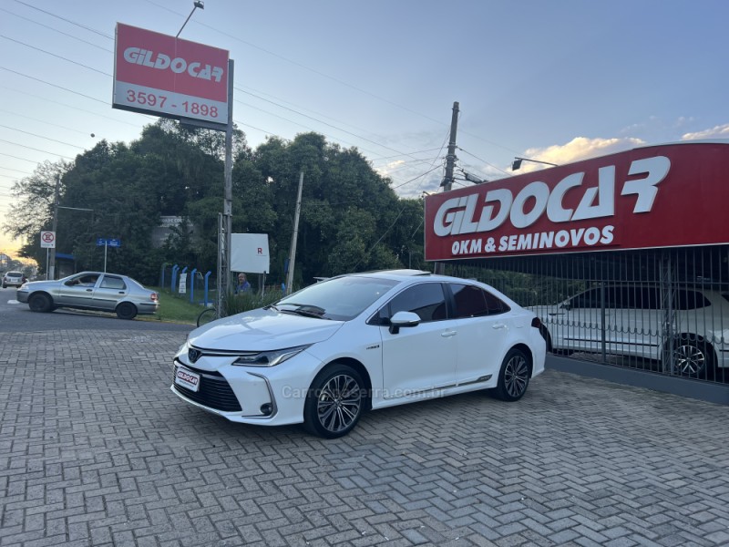 corolla 1.8 altis premium 16v hibrido 4p automatico 2023 campo bom