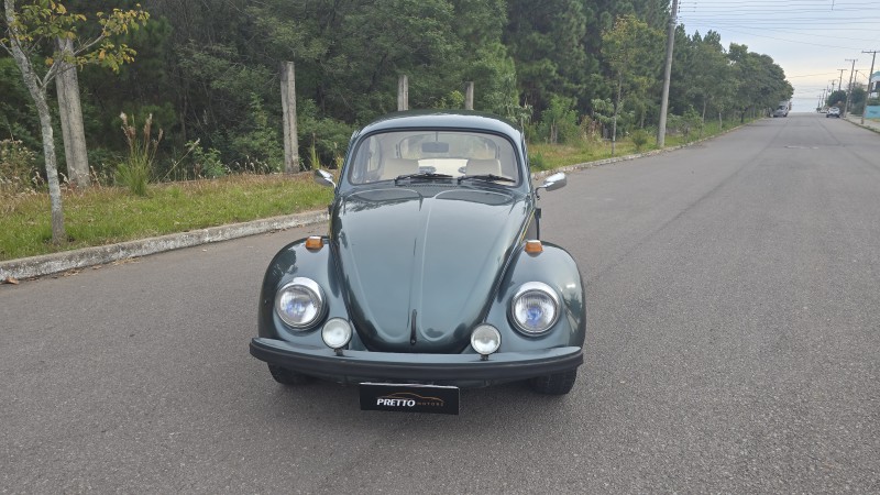 FUSCA 1.6 8V GASOLINA 2P MANUAL - 1994 - BENTO GONçALVES