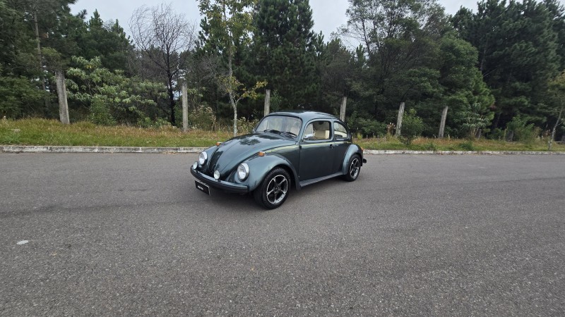 FUSCA 1.6 8V GASOLINA 2P MANUAL - 1994 - BENTO GONçALVES