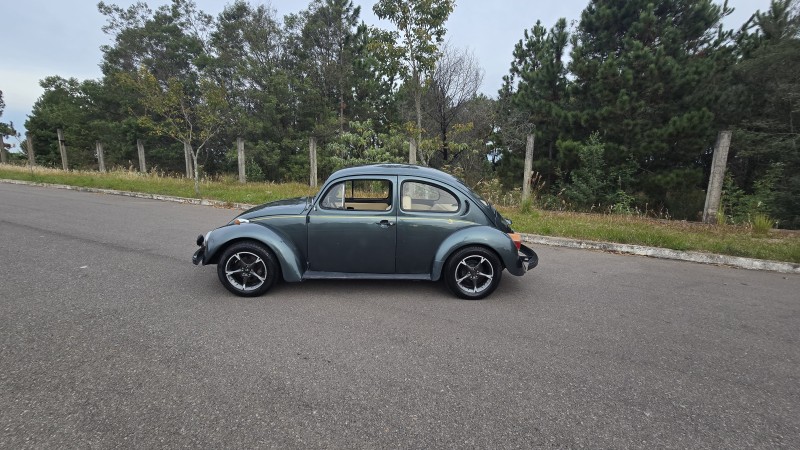 FUSCA 1.6 8V GASOLINA 2P MANUAL - 1994 - BENTO GONçALVES