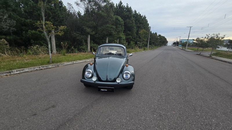 FUSCA 1.6 8V GASOLINA 2P MANUAL - 1994 - BENTO GONçALVES