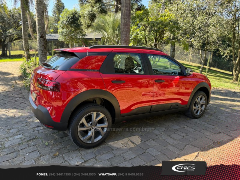 C4 CACTUS 1.6 VTI FEEL BUS FLEX 4P AUTOMATICO - 2022 - CARLOS BARBOSA