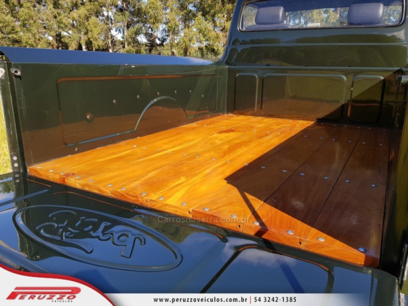 F-100  - 1960 - NOVA PRATA