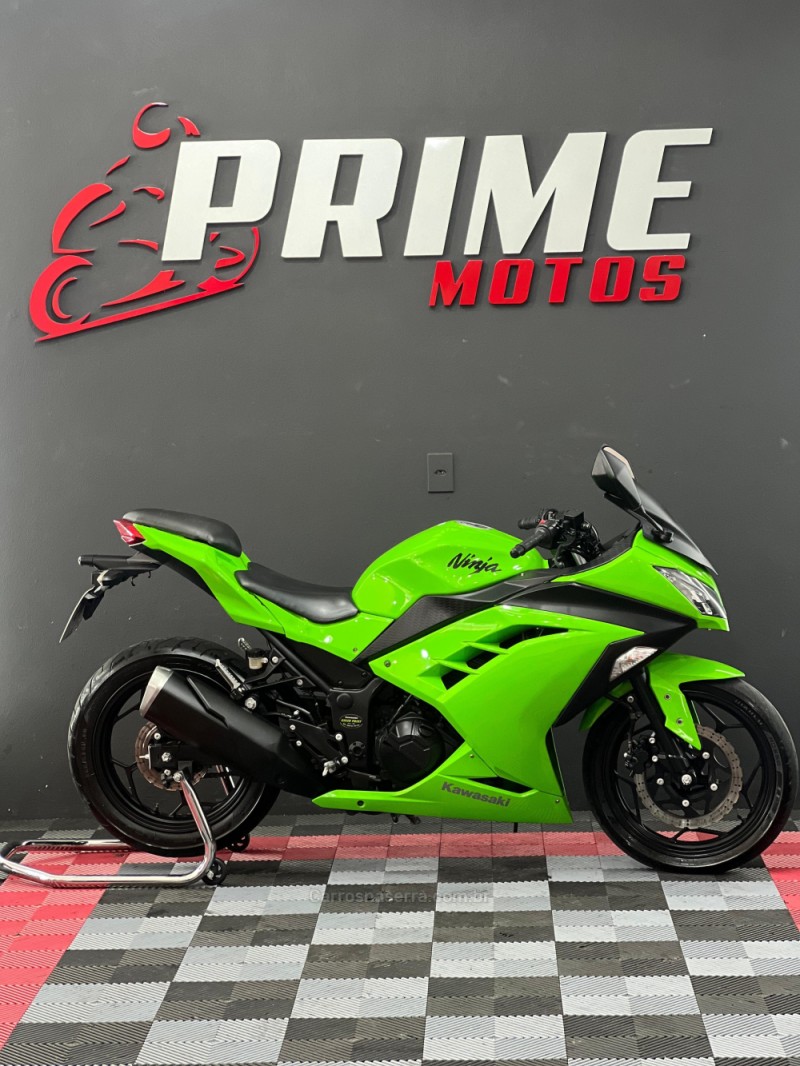 NINJA 300 