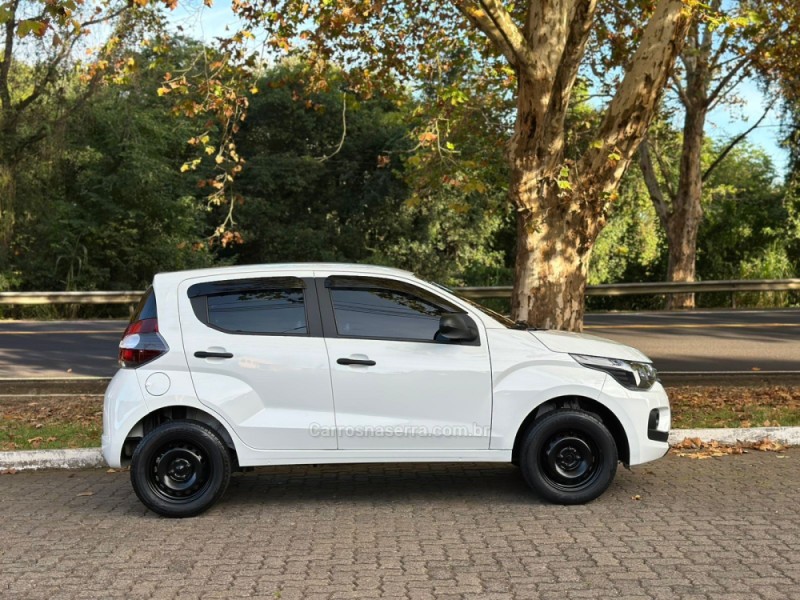 MOBI 1.0 6V FIREFLY FLEX LIKE MANUAL - 2020 - DOIS IRMãOS